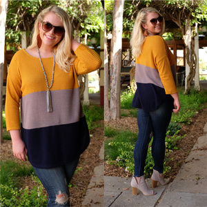PLUS Colorblock Waffle Knit Sweater Tunic
